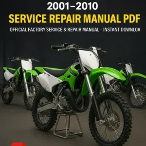 Kawasaki KX85 / KX85-II / KX100 Workshop Manual (2001–2010)